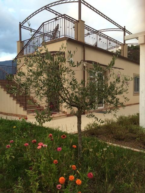 Gallinaro Agriturismo Poggio Alle Serre מראה חיצוני תמונה